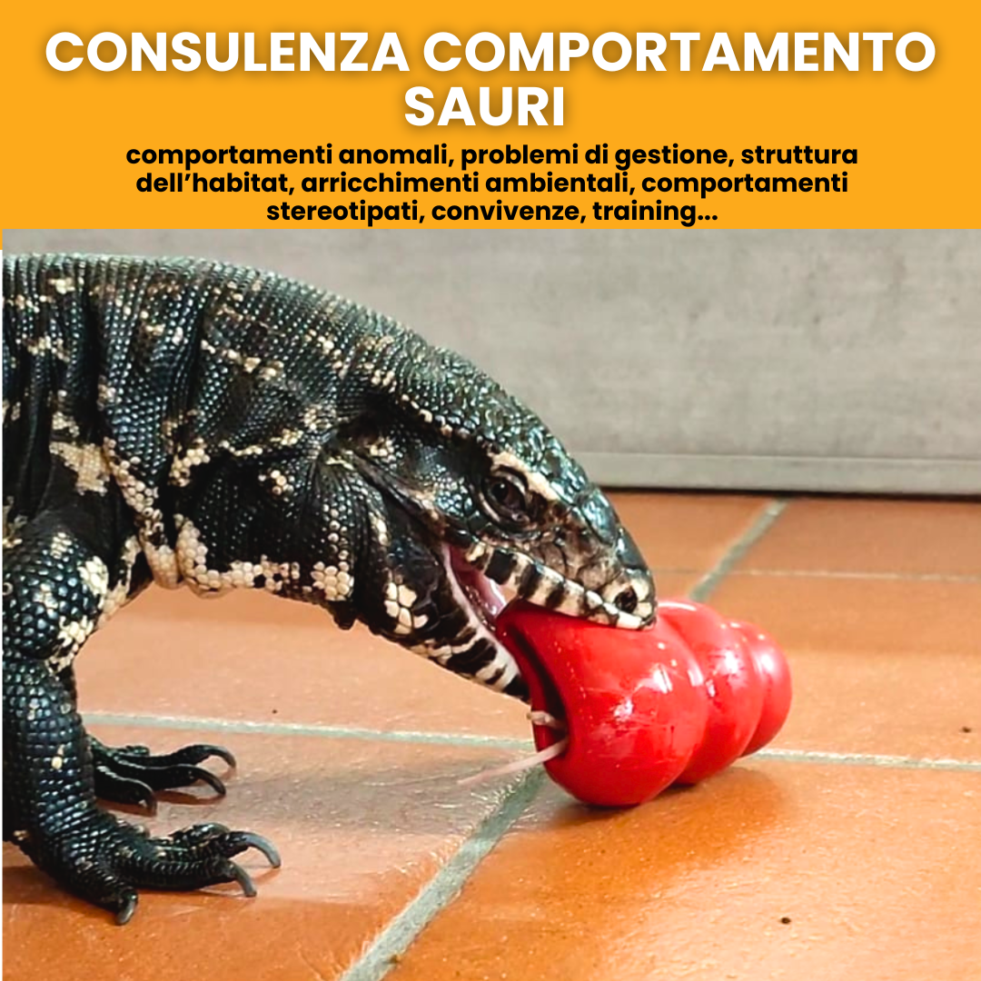 Consulenza comportamentale sauri