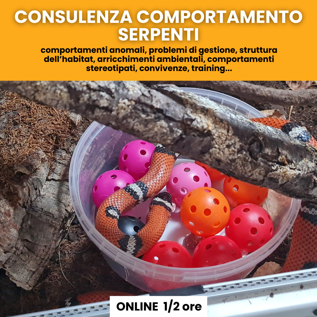 Consulenza comportamentale serpenti