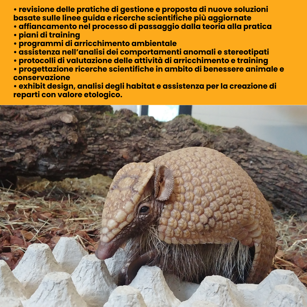 Percorsi guidati di arricchimento e training per zoo