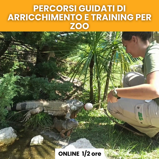 Percorsi guidati di arricchimento e training per zoo 